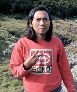 Samsul