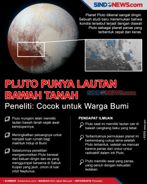 Pluto Punya Lautan Bawah...
