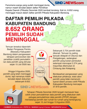 Daftar Pemilih Kabupaten...