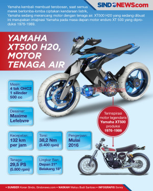 Yamaha XT500 H20, Motor...