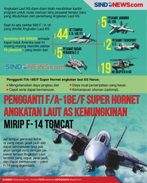 Pengganti F-18 Super...
