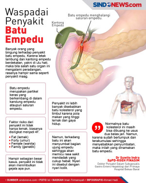 Mengenal Penyakit Batu...