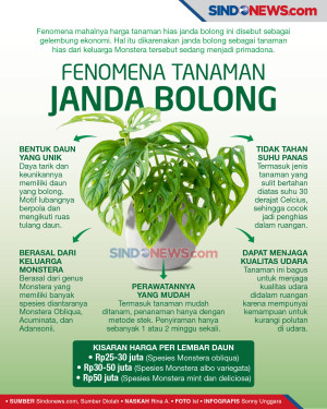 Fenomena Si Janda Bolong,...
