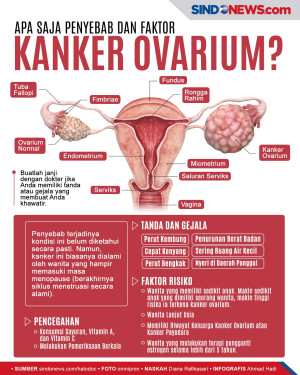 Apa Saja Penyebab dan...