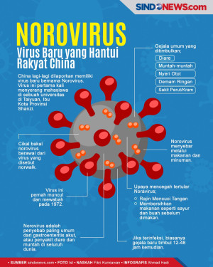Norovirus, Virus Baru...