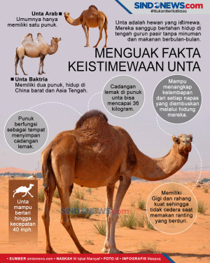 Menguak Keistimewaan...