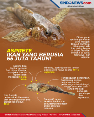 Berusia 65 Juta Tahun,...