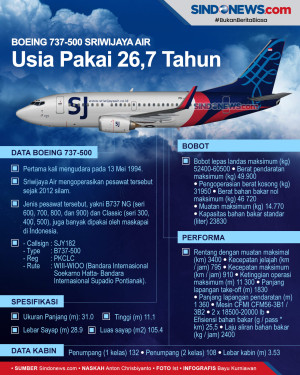 Boeing 737-500 Sriwijaya...