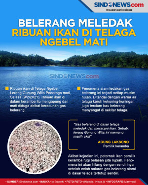 Belerang Gunung Wilis...
