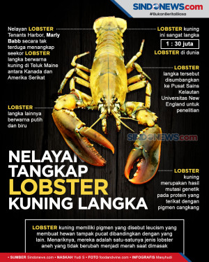 Nelayan di Teluk Maine...