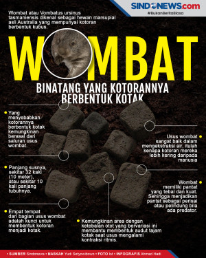 Wombat Satu-satunya...