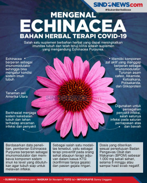 Khasiat Bahan Herbal...