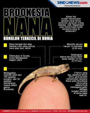 Bunglon Terkecil di...