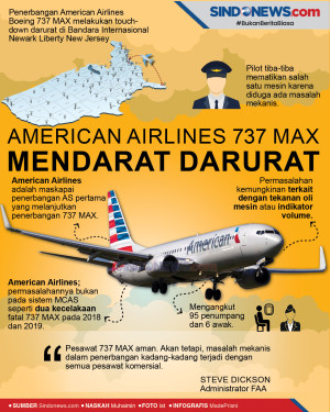 American Airlines 737...