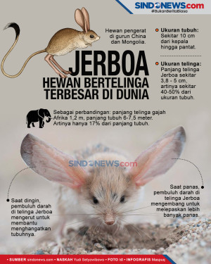 Jerboa, Hewan dengan...