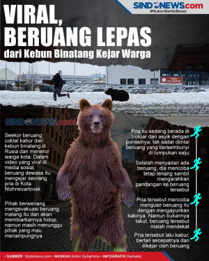 Viral, Beruang Lepas...