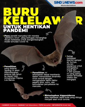 Buru Kelelawar, Peneliti...