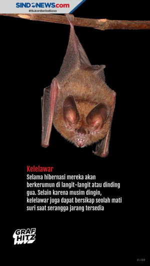 Mengenal Hewan - Hewan...