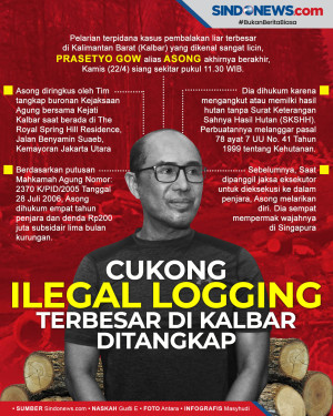 Cukong Ilegal Logging...