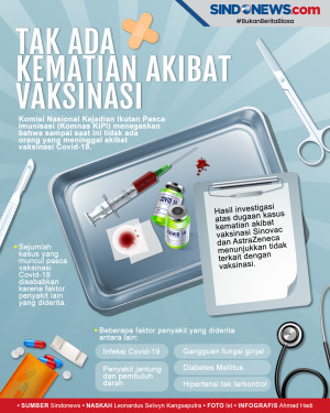 Hasil Investigasi Komnas...