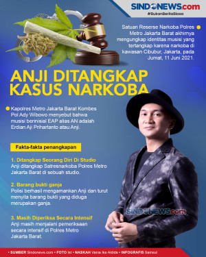 Kasus Narkoba, Anji...