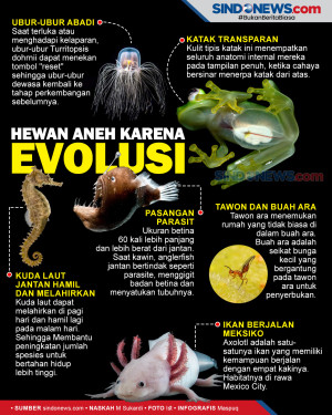 Enam Hewan yang Memiliki...
