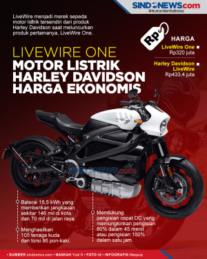 LiveWire One, Motor...
