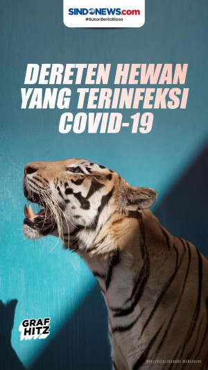 Dereten Hewan Terinfeksi...