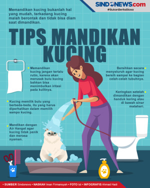 Cara Memandikan Kucing,...