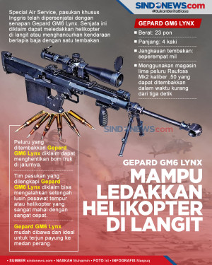 Gepard GM6 Lynx, Senapan...