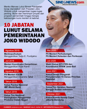 10 Jabatan Luhut Selama...