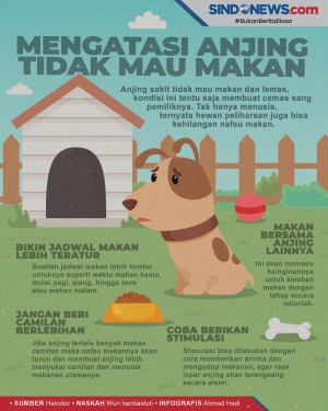 Anjing Sakit Tidak Mau...