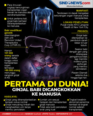 Pertama di Dunia! Ginjal...