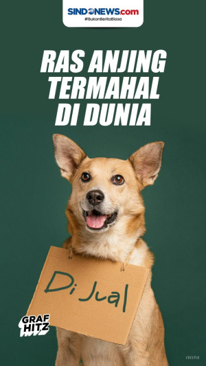 10 Ras Anjing Termahal...