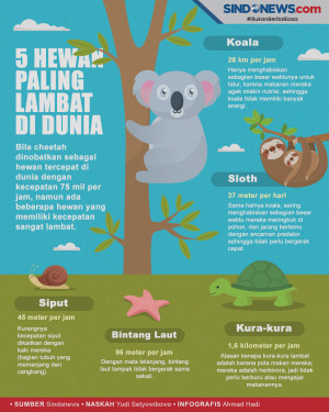Hewan Paling Lambat...