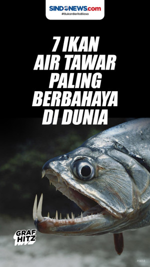 Tujuh Ikan Air Tawar...