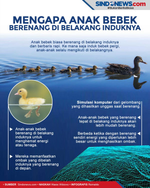 Rahasia Mengapa Anak...