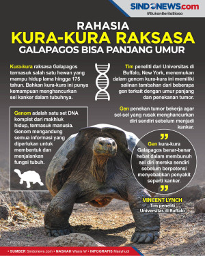 Rahasia Kura-Kura Raksasa...