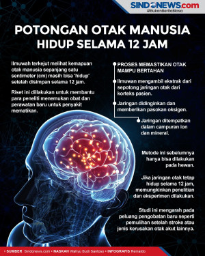 Ilmuwan Terkejut Lihat...