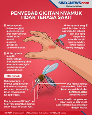 Tahukah Anda, Kenapa...