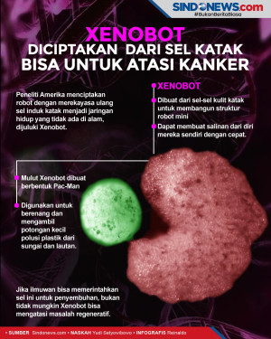 Ilmuwan Ciptakan Xenobot...