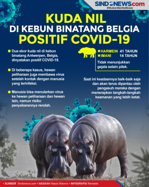 Kuda Nil di Kebun Binatang...