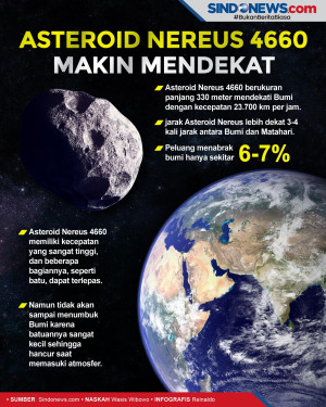 Asteroid Nereus 4660...