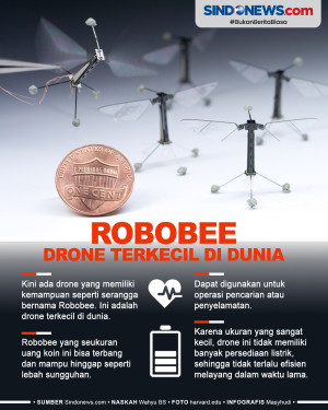 Robo-bee, Drone Terkecil...