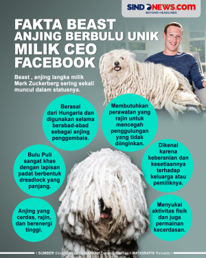 Fakta Menarik Beast,...