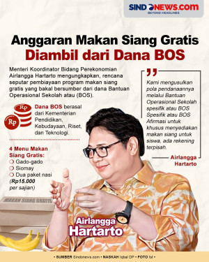 Menko Airlangga: Anggaran...