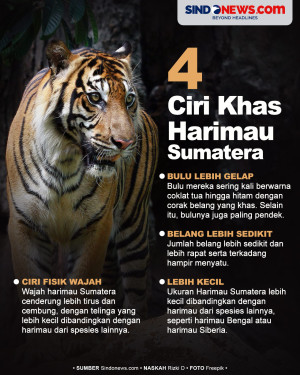 4 Ciri Khas Harimau...