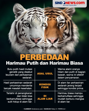 Selain Warna, Berikut...