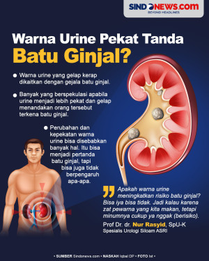 Apakah Warna Urine yang...