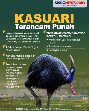 Burung Kasuari Asal...